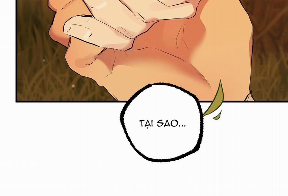 Đàn Thỏ Của Habibi 24 trang 181