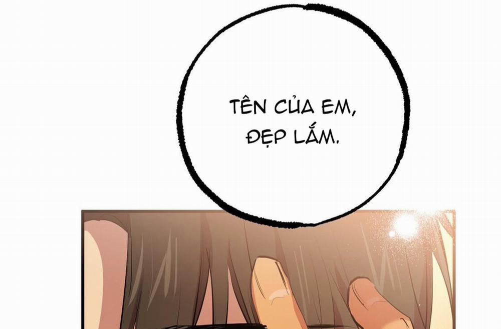 Đàn Thỏ Của Habibi 24 trang 215