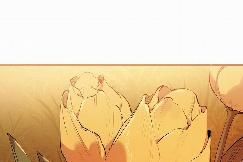 Đàn Thỏ Của Habibi 24 trang 231