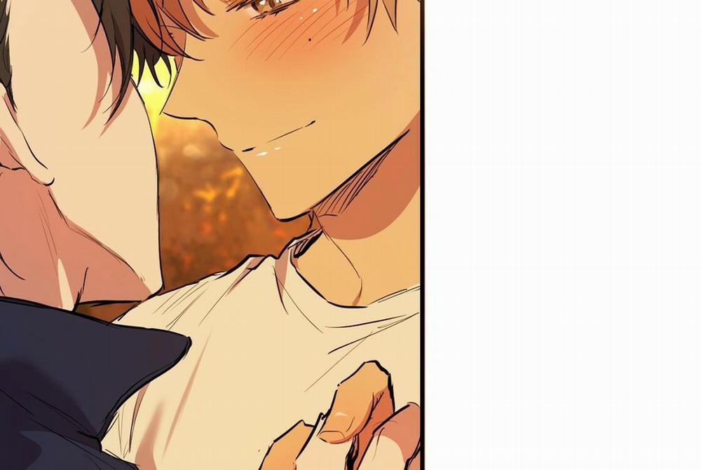 Đàn Thỏ Của Habibi 24 trang 270