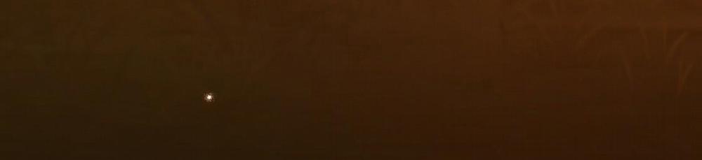 Đàn Thỏ Của Habibi 24 trang 291