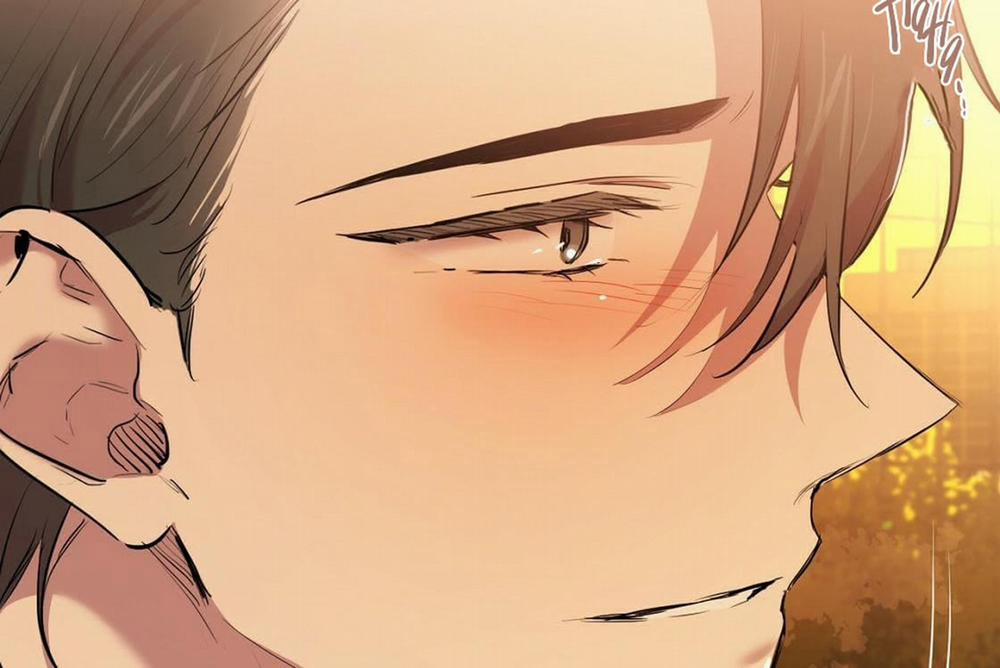 Đàn Thỏ Của Habibi 24 trang 45