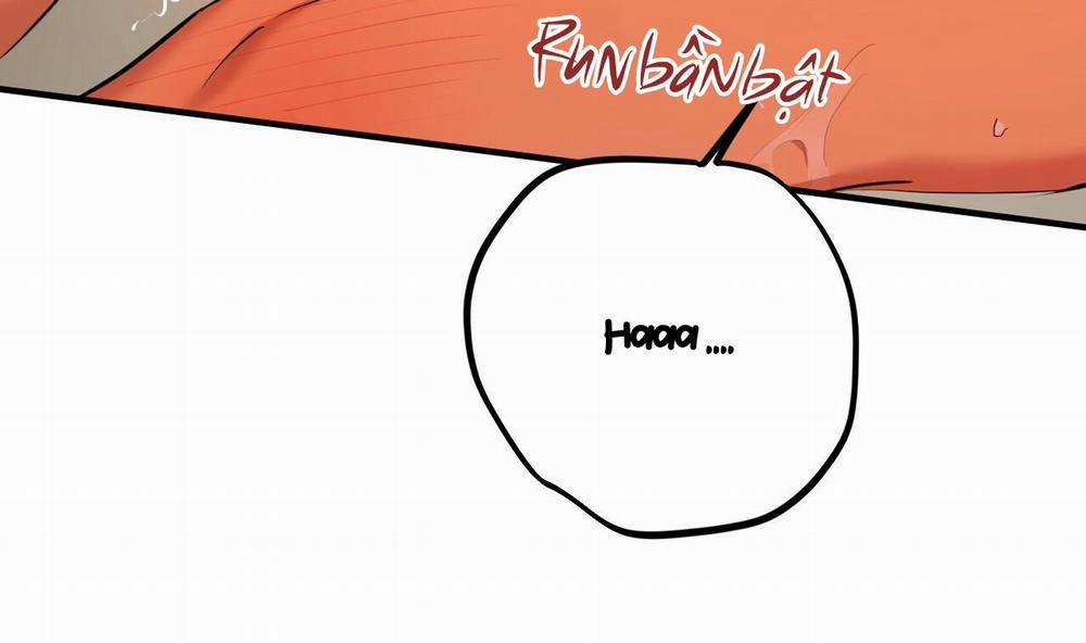 Đàn Thỏ Của Habibi 25 trang 129