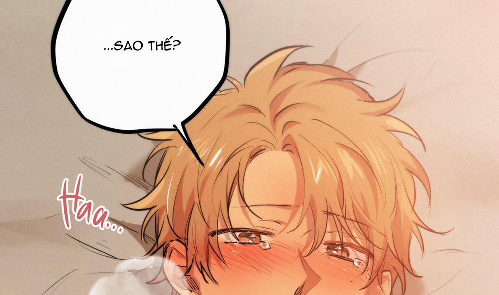 Đàn Thỏ Của Habibi 25 trang 133