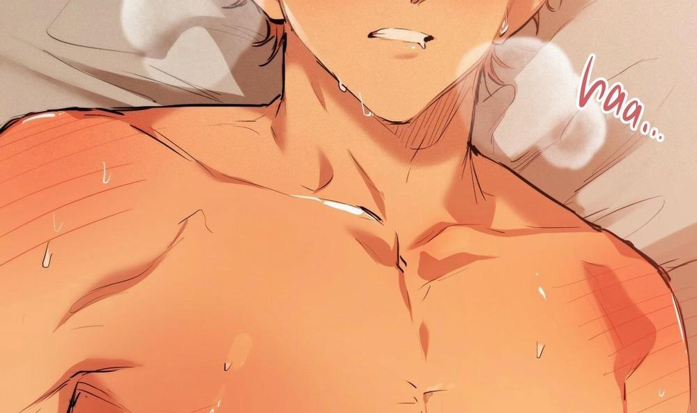 Đàn Thỏ Của Habibi 25 trang 134