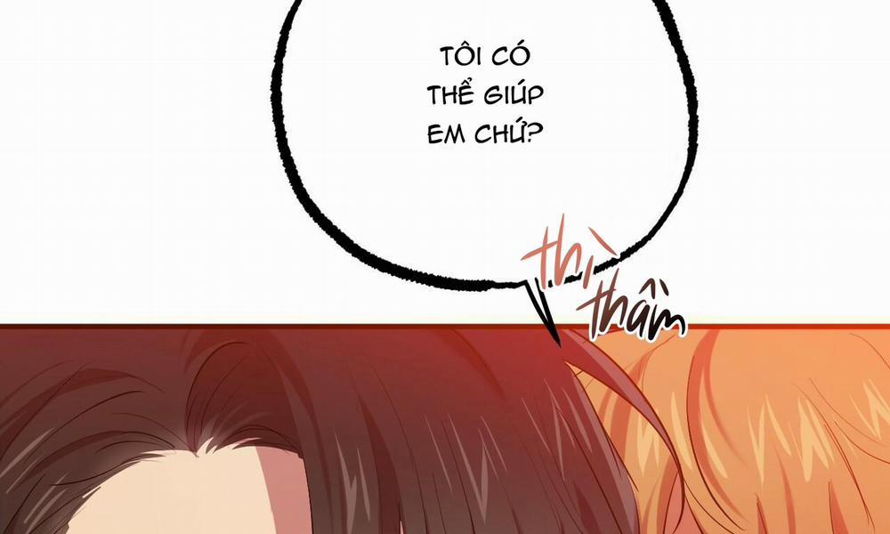 Đàn Thỏ Của Habibi 25 trang 14