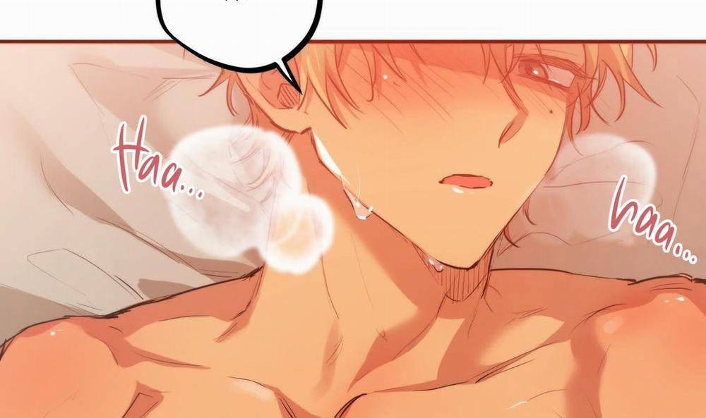 Đàn Thỏ Của Habibi 25 trang 144