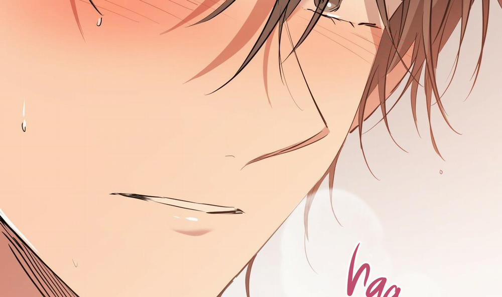 Đàn Thỏ Của Habibi 25 trang 149