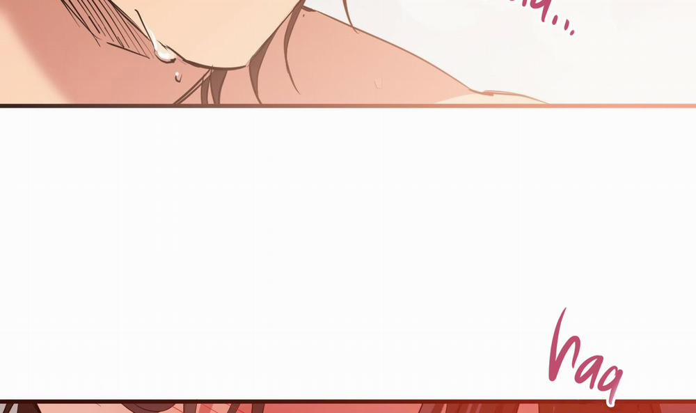 Đàn Thỏ Của Habibi 25 trang 150