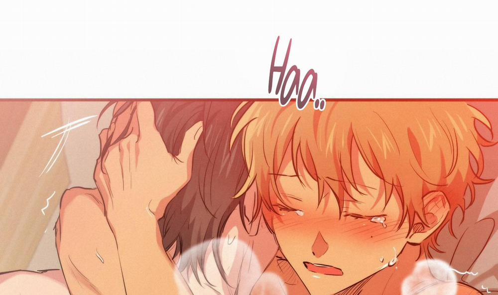 Đàn Thỏ Của Habibi 25 trang 166