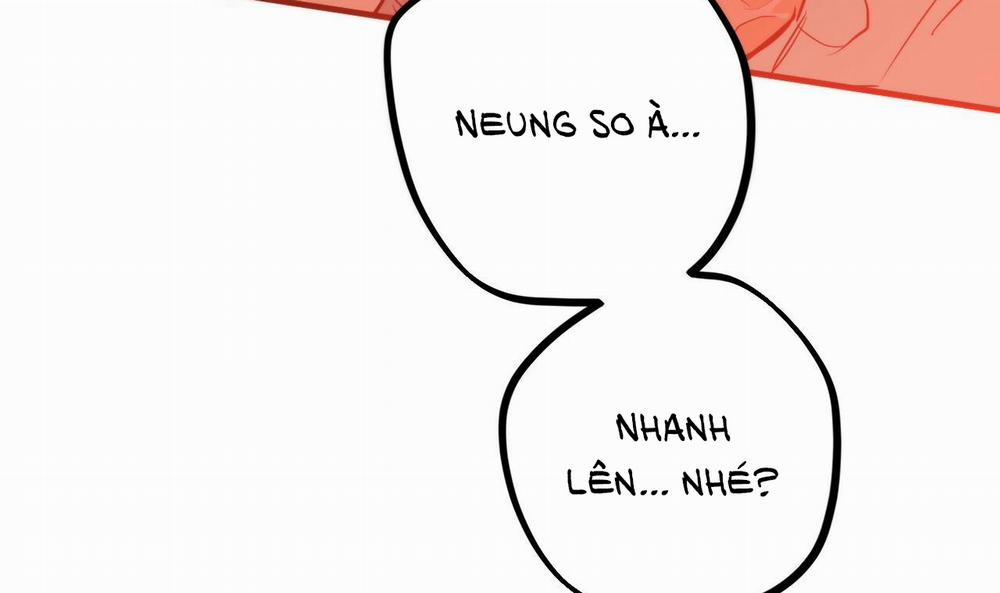 Đàn Thỏ Của Habibi 25 trang 169