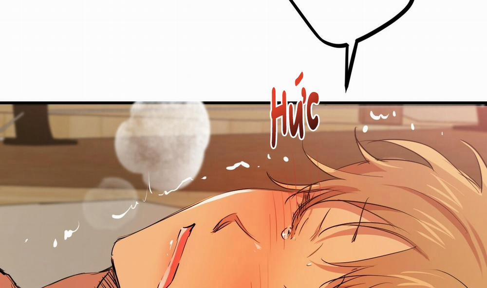 Đàn Thỏ Của Habibi 25 trang 174