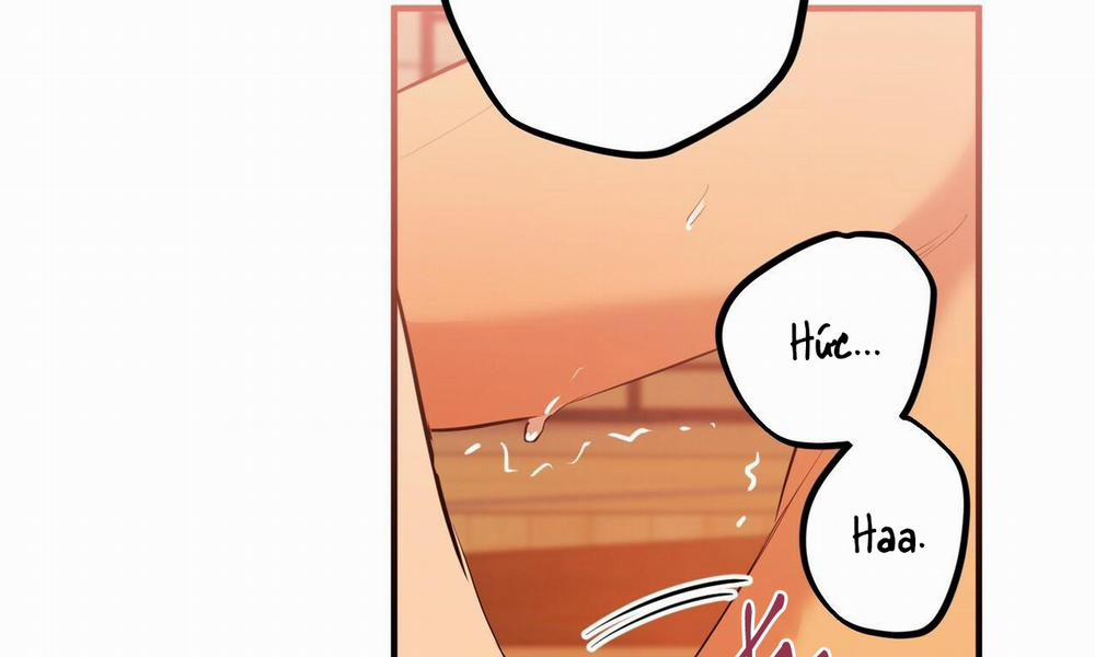 Đàn Thỏ Của Habibi 25 trang 187