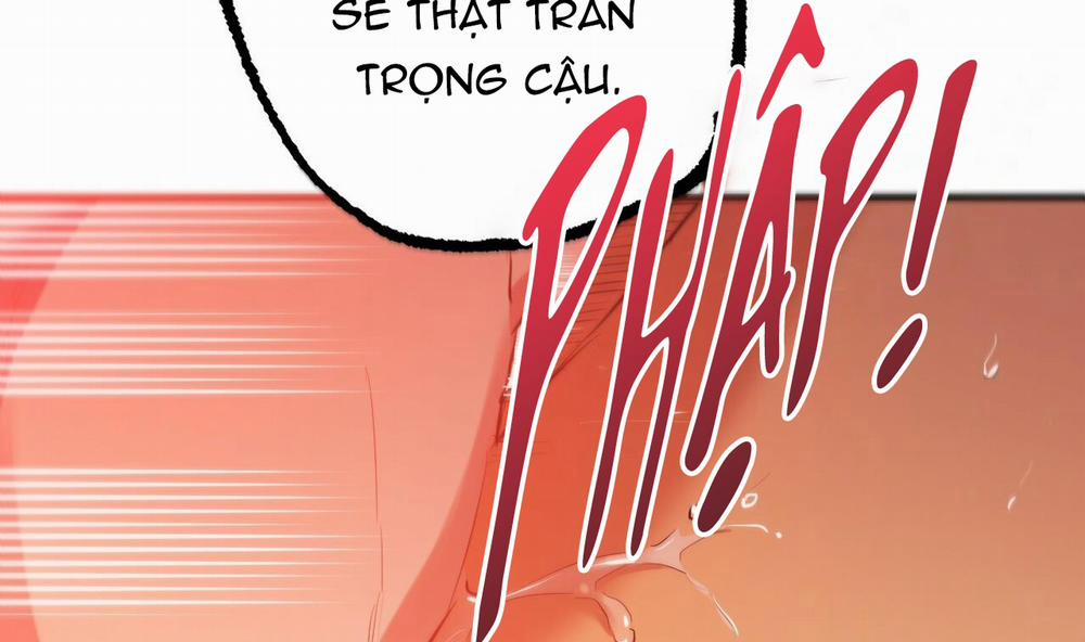 Đàn Thỏ Của Habibi 25 trang 212