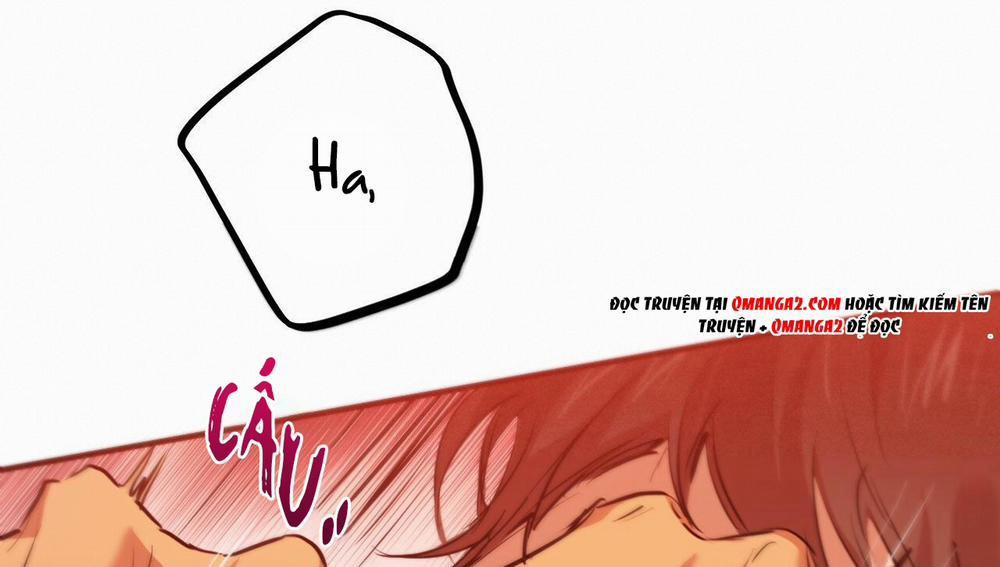 Đàn Thỏ Của Habibi 25 trang 234