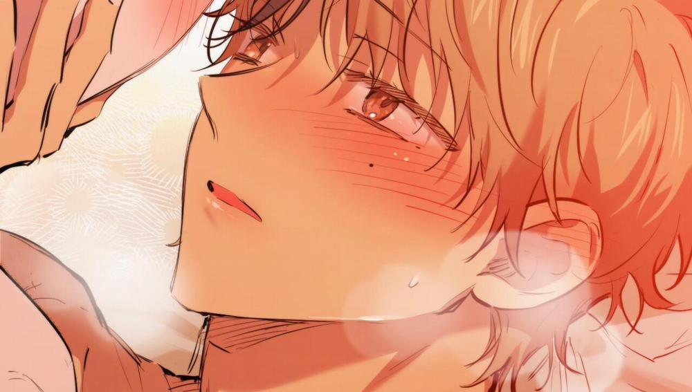 Đàn Thỏ Của Habibi 25 trang 244