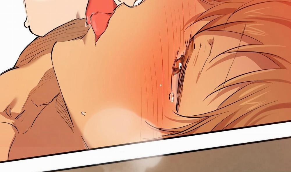 Đàn Thỏ Của Habibi 25 trang 252