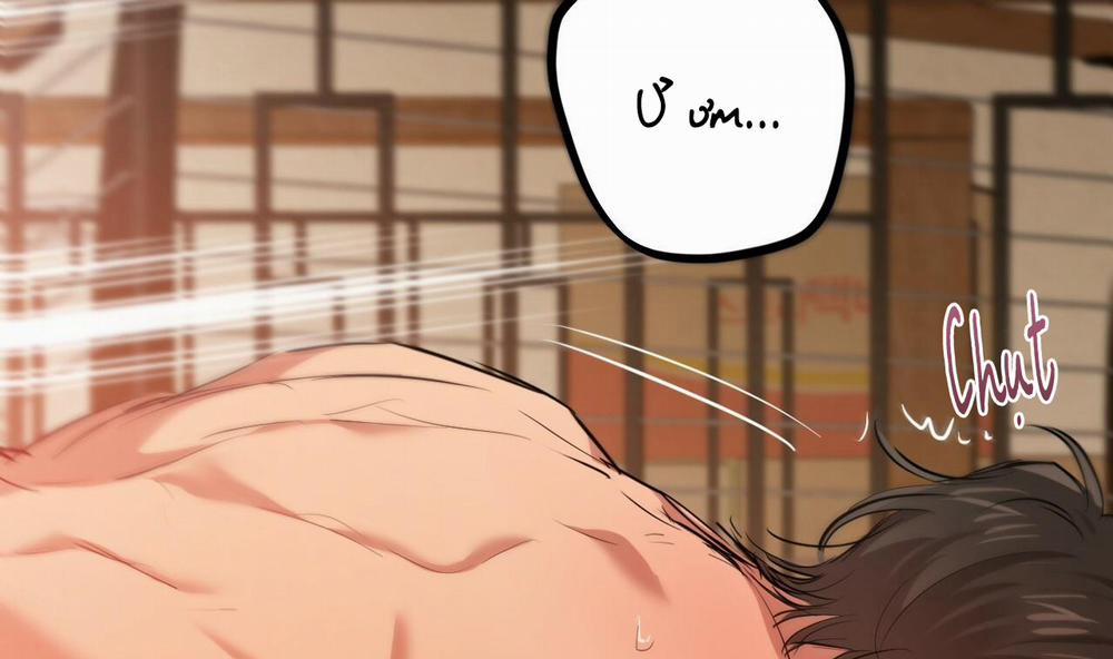 Đàn Thỏ Của Habibi 25 trang 254