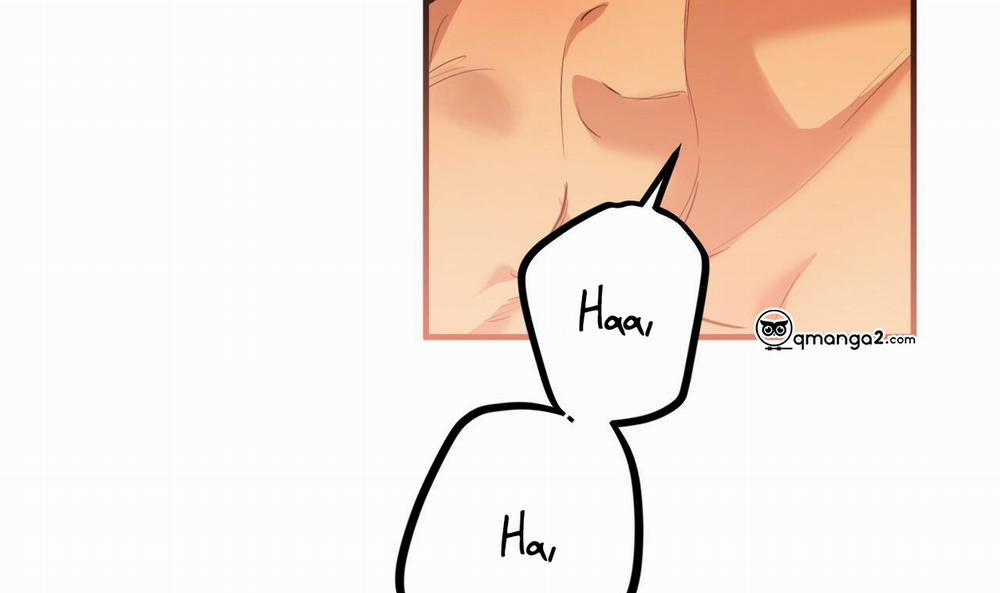 Đàn Thỏ Của Habibi 25 trang 259