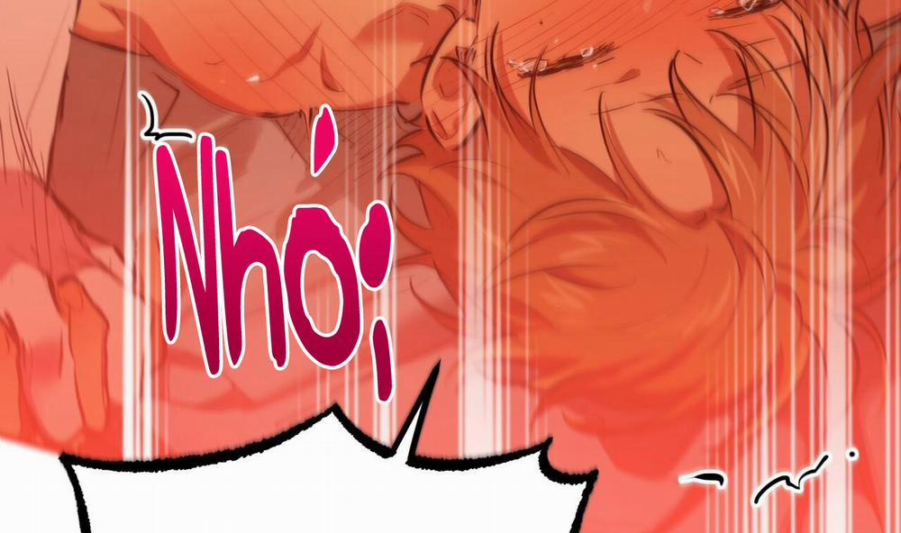 Đàn Thỏ Của Habibi 25 trang 272