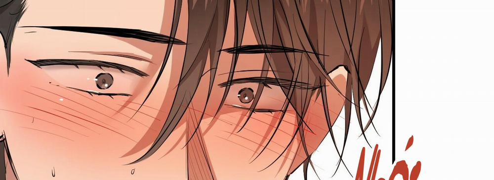 Đàn Thỏ Của Habibi 25 trang 281