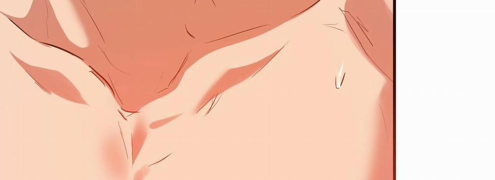 Đàn Thỏ Của Habibi 25 trang 283