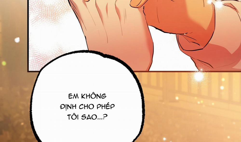 Đàn Thỏ Của Habibi 25 trang 29