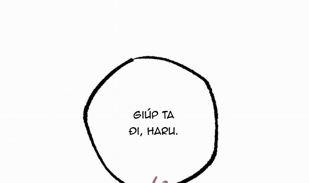 Đàn Thỏ Của Habibi 25 trang 39