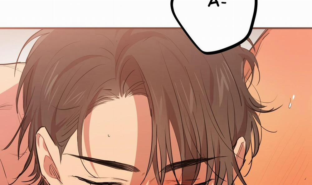 Đàn Thỏ Của Habibi 25 trang 59