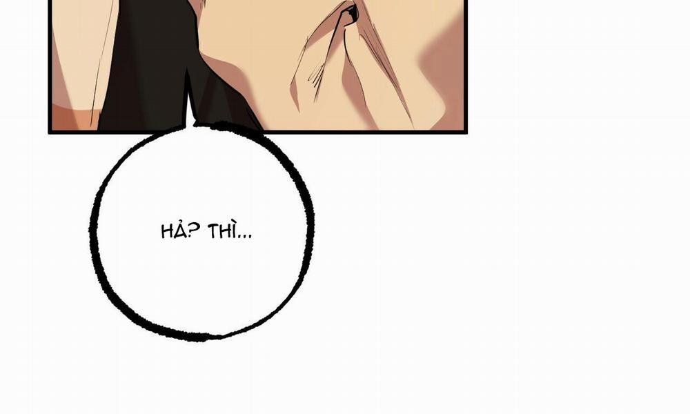 Đàn Thỏ Của Habibi 25 trang 8