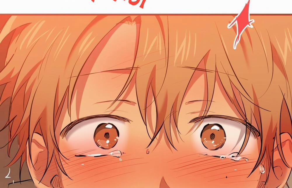 Đàn Thỏ Của Habibi 26 trang 13