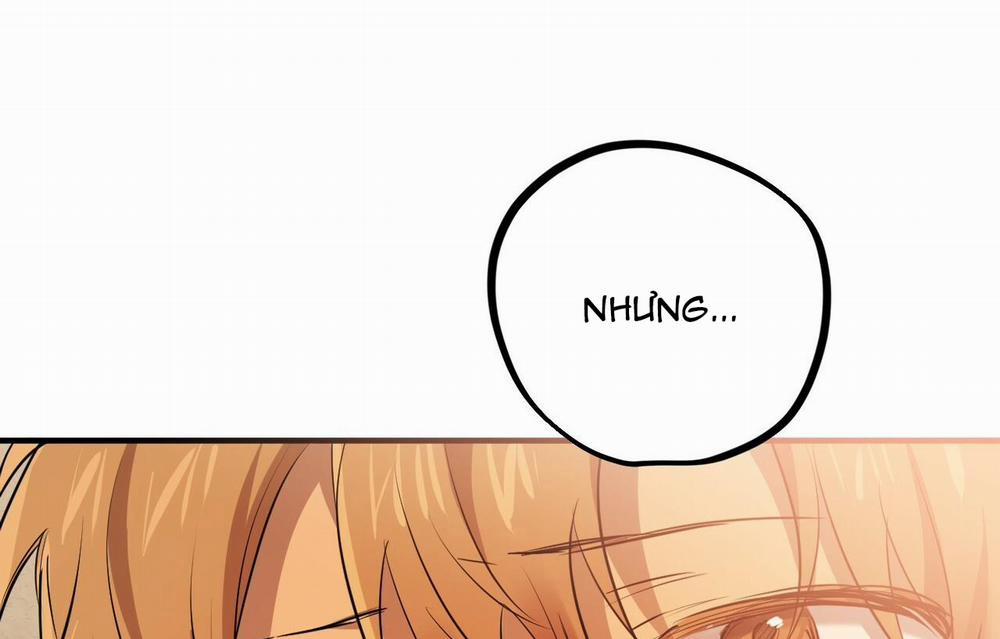 Đàn Thỏ Của Habibi 26 trang 140