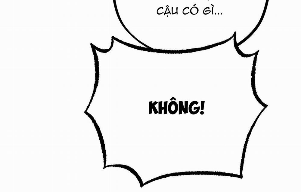 Đàn Thỏ Của Habibi 26 trang 145