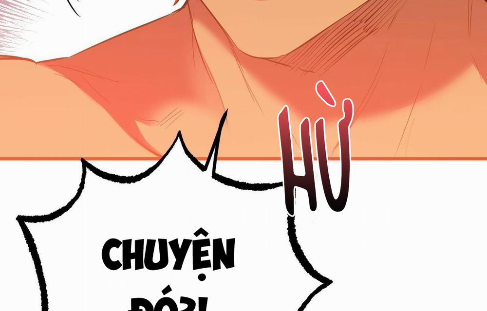 Đàn Thỏ Của Habibi 26 trang 166