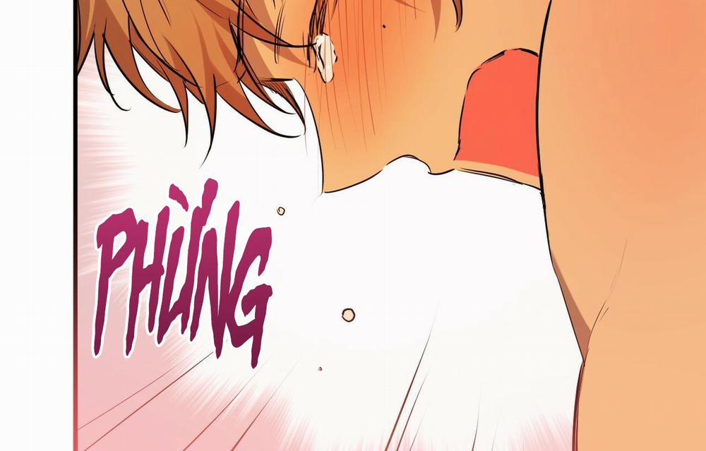 Đàn Thỏ Của Habibi 26 trang 174