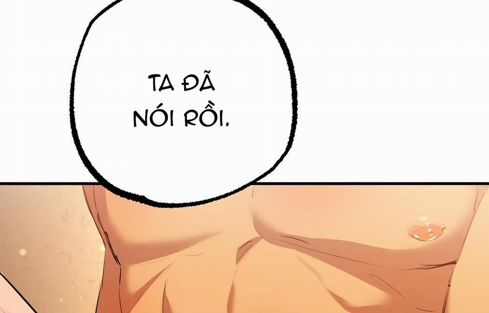 Đàn Thỏ Của Habibi 26 trang 197