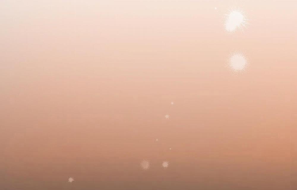 Đàn Thỏ Của Habibi 26 trang 216