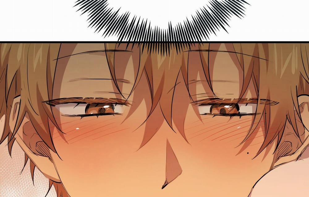 Đàn Thỏ Của Habibi 26 trang 247