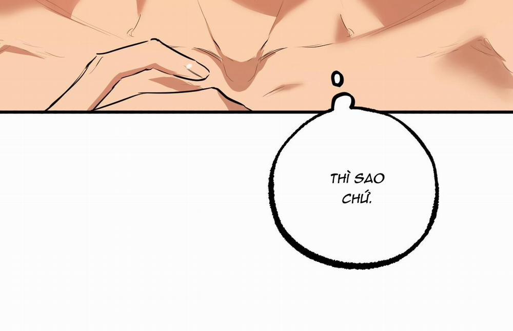 Đàn Thỏ Của Habibi 26 trang 27