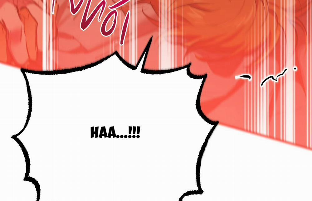 Đàn Thỏ Của Habibi 26 trang 5