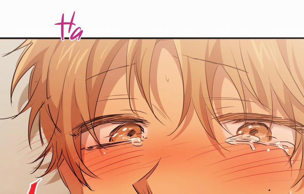 Đàn Thỏ Của Habibi 26 trang 54