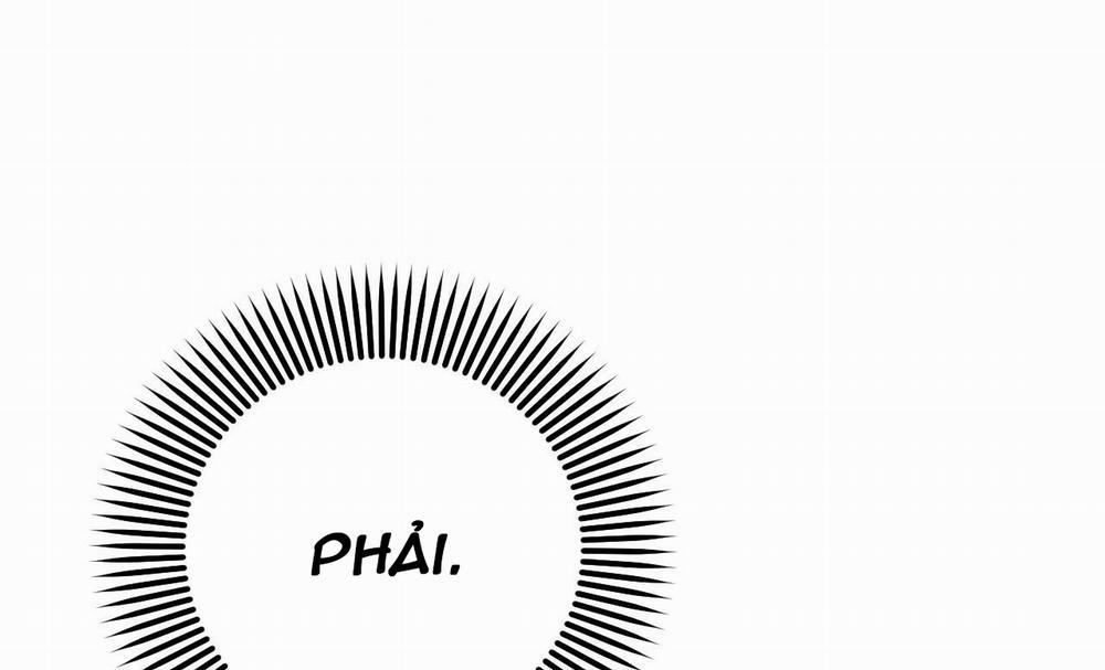 Đàn Thỏ Của Habibi 27 trang 176