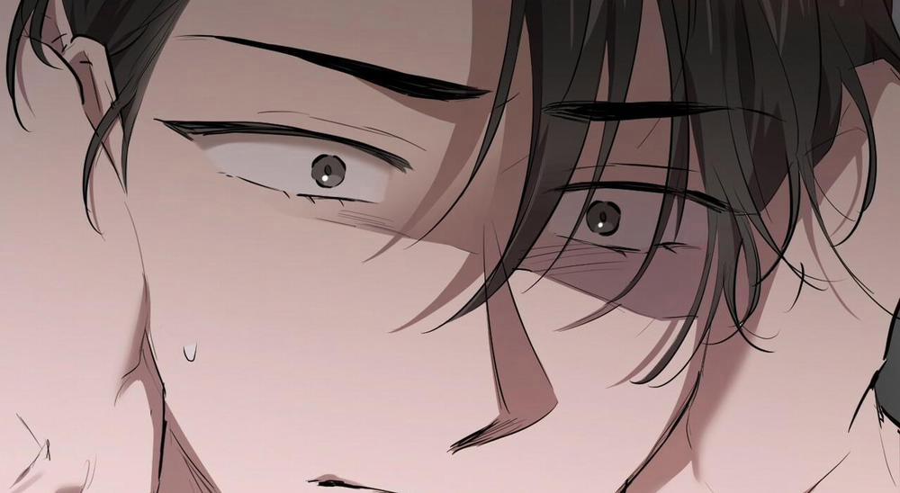 Đàn Thỏ Của Habibi 27 trang 21