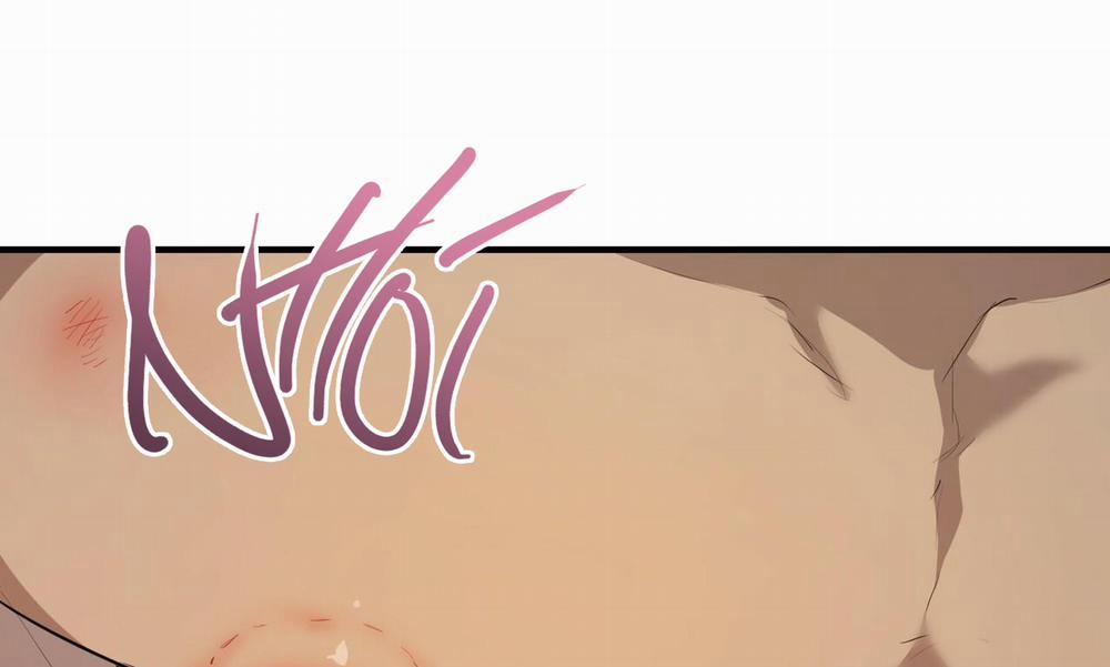 Đàn Thỏ Của Habibi 27 trang 221