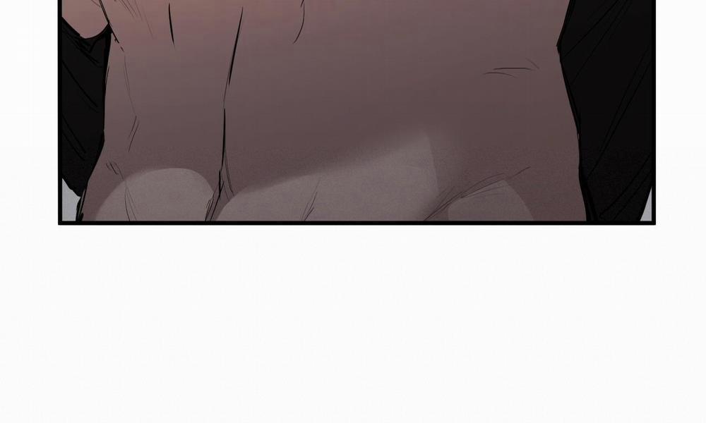 Đàn Thỏ Của Habibi 27 trang 233