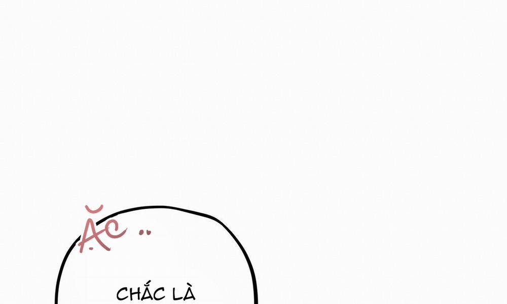 Đàn Thỏ Của Habibi 27 trang 234