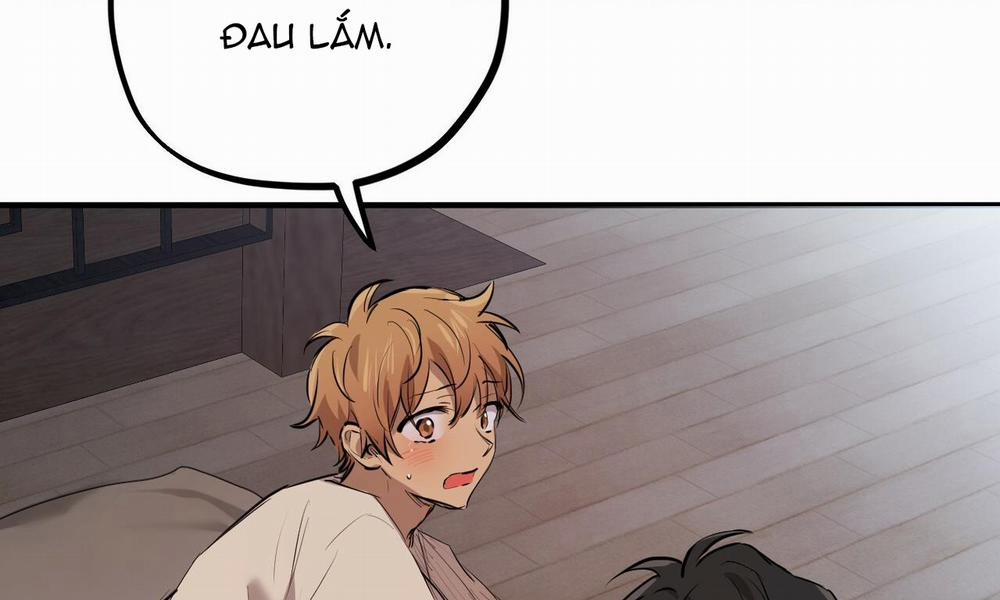 Đàn Thỏ Của Habibi 27 trang 235