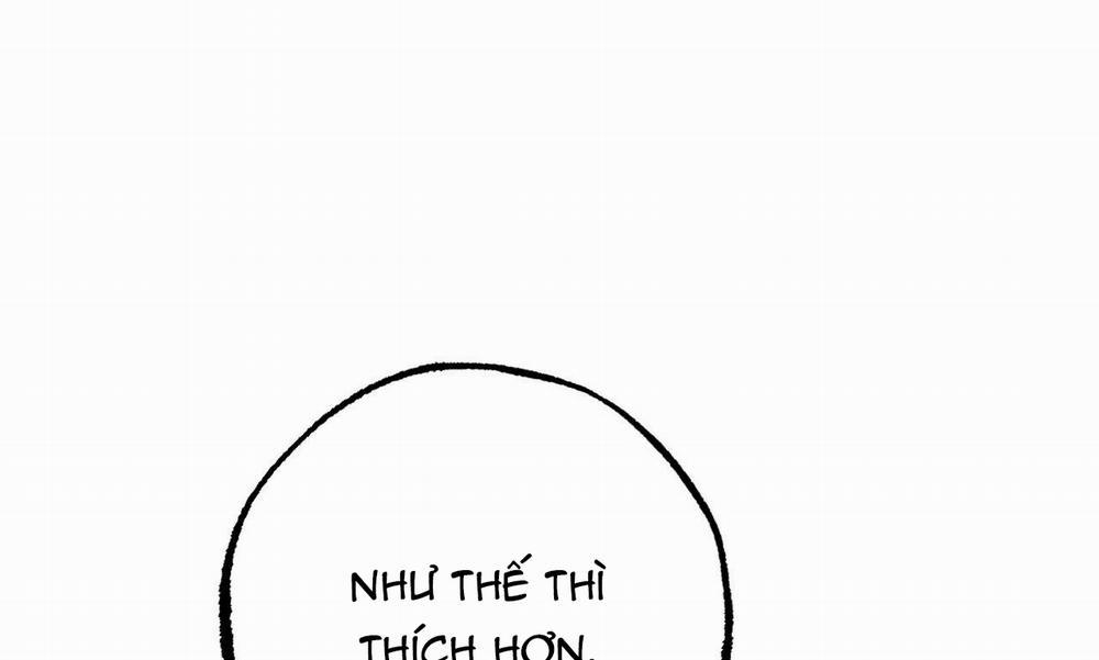 Đàn Thỏ Của Habibi 27 trang 241