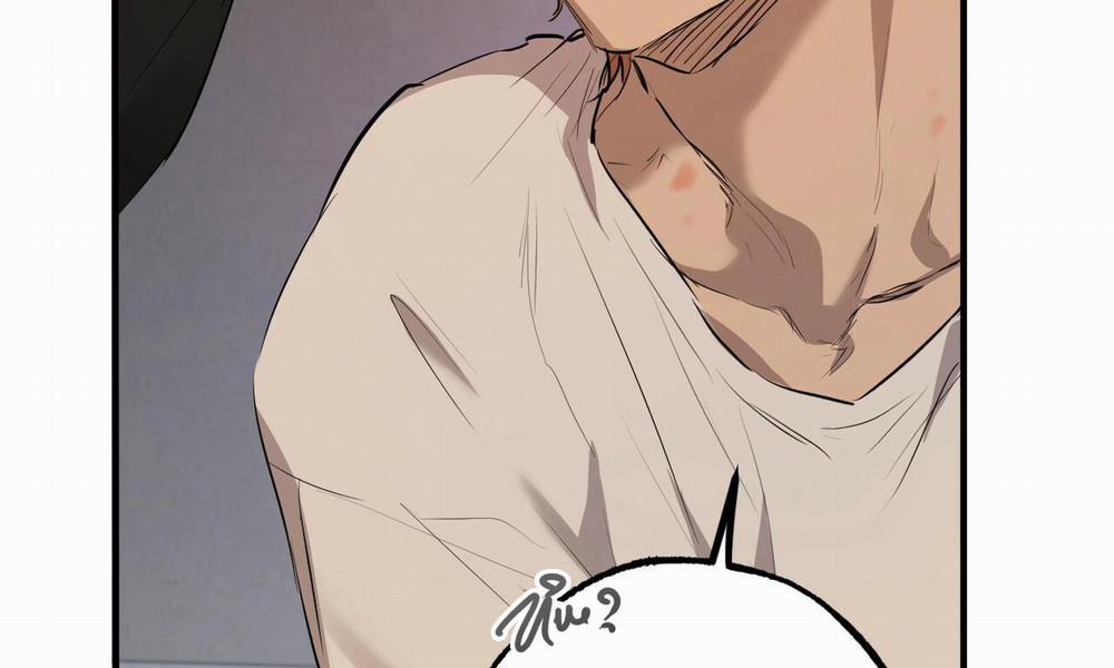 Đàn Thỏ Của Habibi 27 trang 244