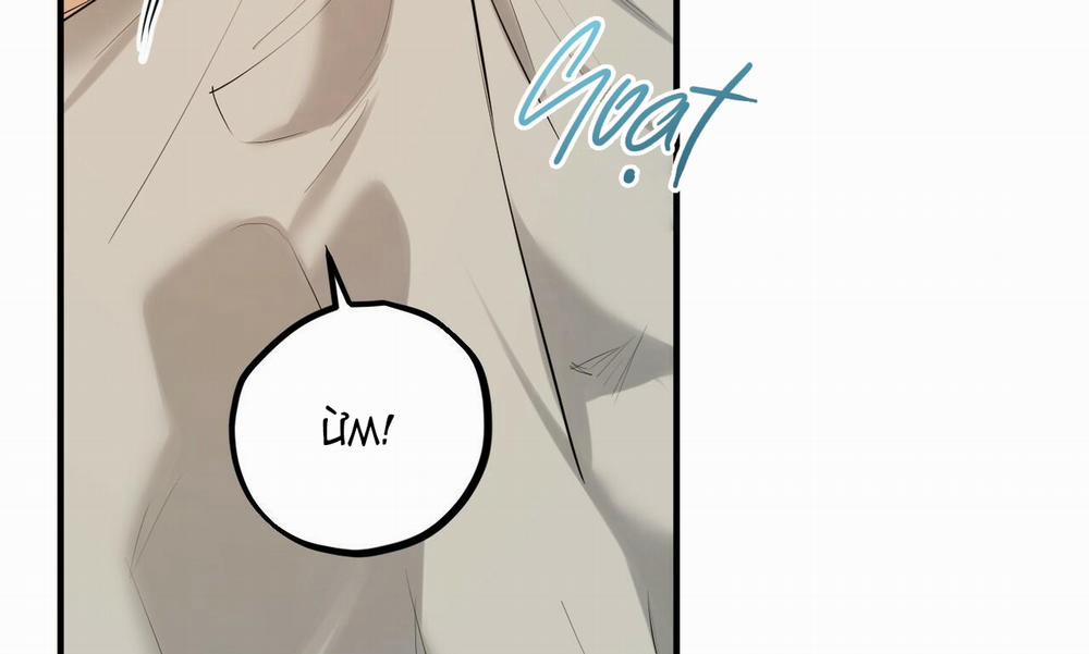 Đàn Thỏ Của Habibi 27 trang 251